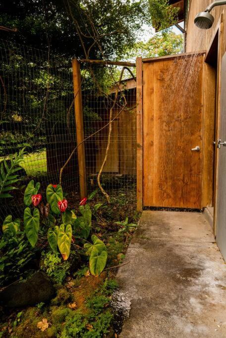 Jungle Haven Ocean Front Eco Villa On Fruit Farm Pahoa Kültér fotó