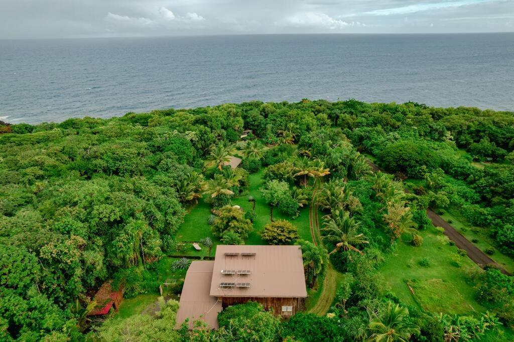 Jungle Haven Ocean Front Eco Villa On Fruit Farm Pahoa Kültér fotó