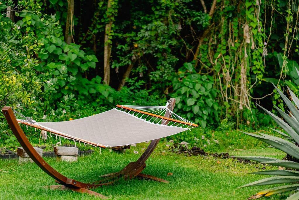 Jungle Haven Ocean Front Eco Villa On Fruit Farm Pahoa Kültér fotó