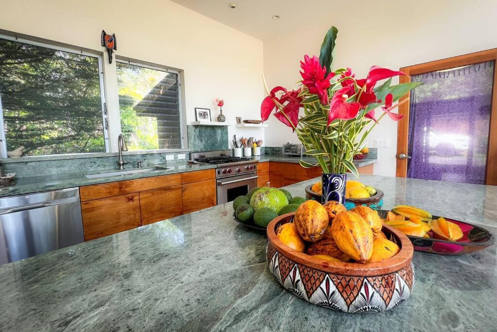 Jungle Haven Ocean Front Eco Villa On Fruit Farm Pahoa Kültér fotó
