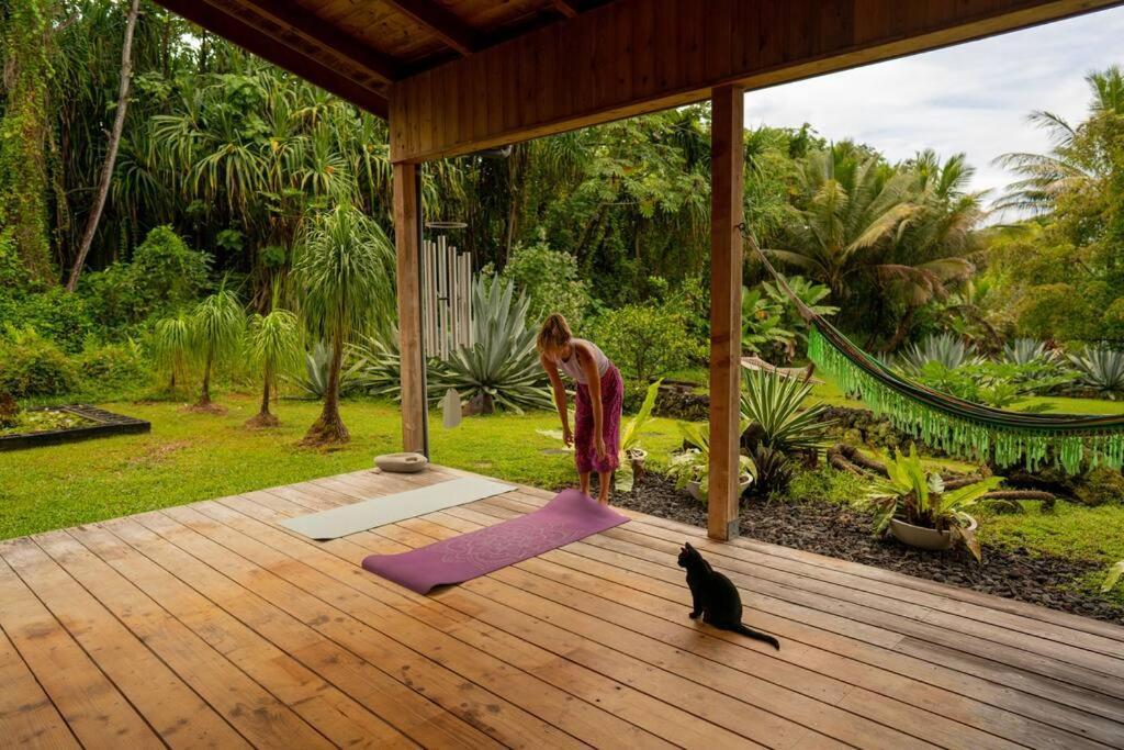 Jungle Haven Ocean Front Eco Villa On Fruit Farm Pahoa Kültér fotó