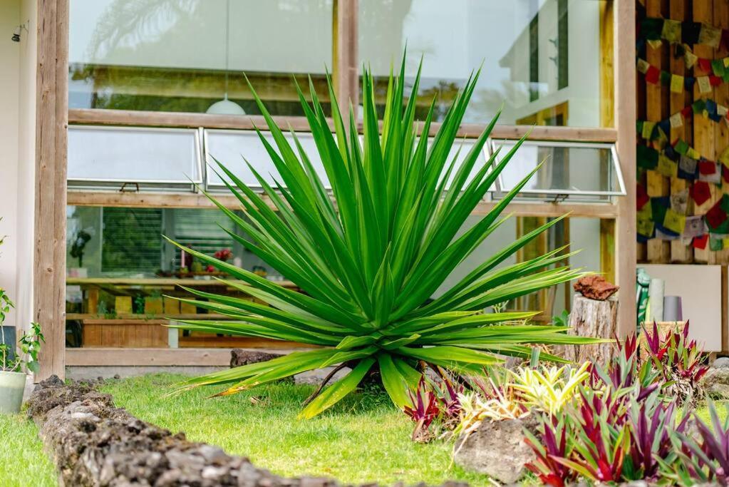 Jungle Haven Ocean Front Eco Villa On Fruit Farm Pahoa Kültér fotó