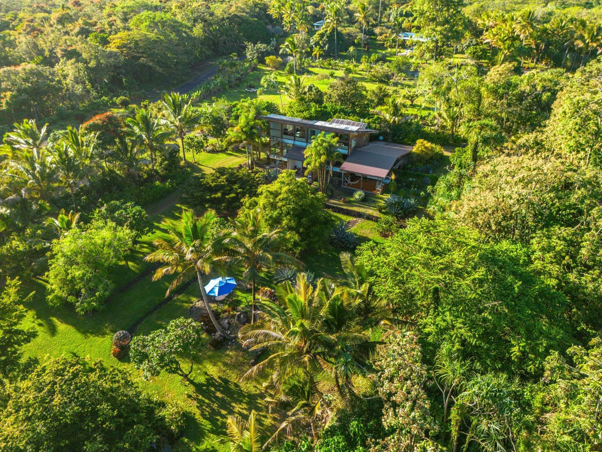 Jungle Haven Ocean Front Eco Villa On Fruit Farm Pahoa Kültér fotó