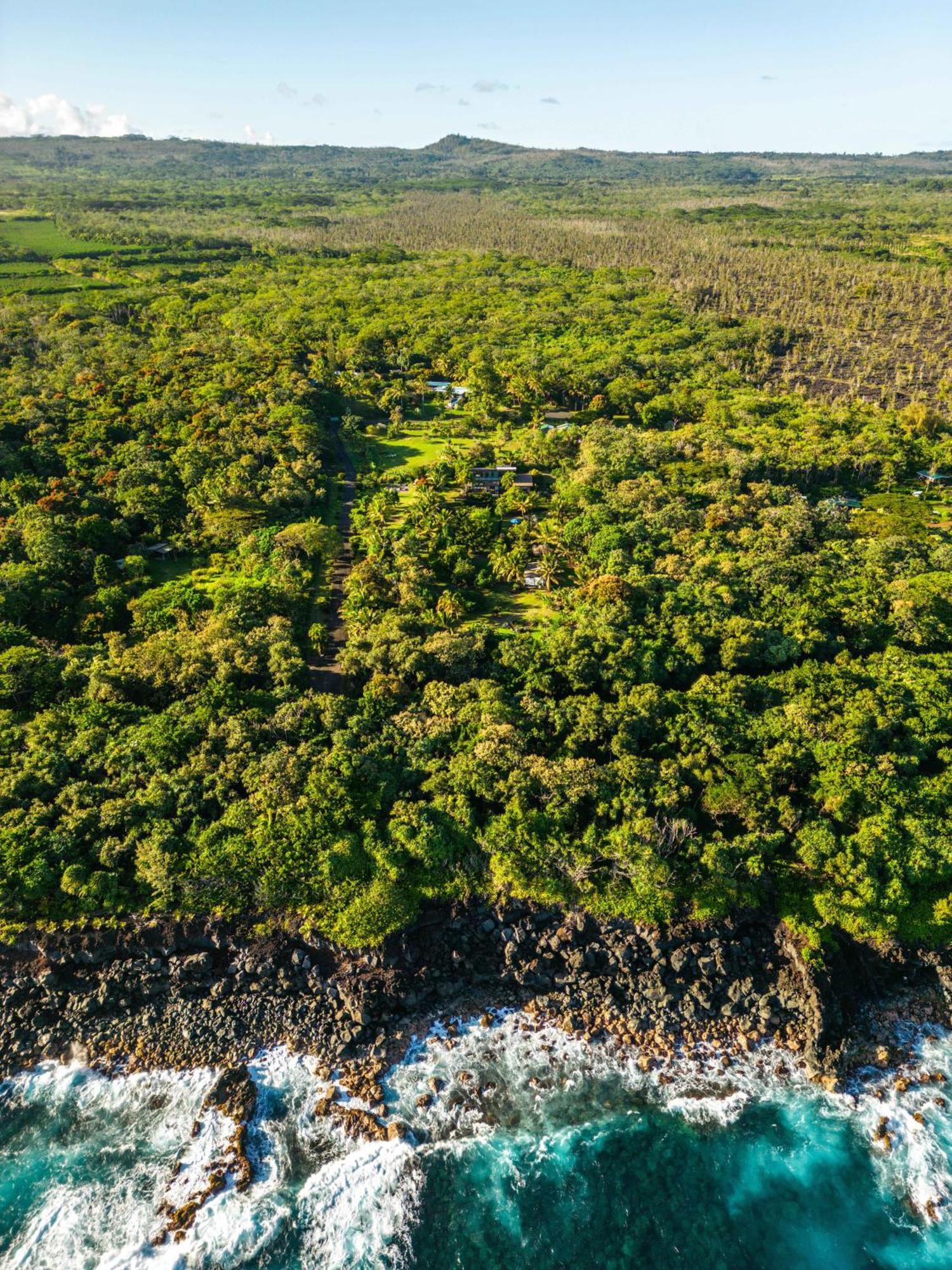 Jungle Haven Ocean Front Eco Villa On Fruit Farm Pahoa Kültér fotó