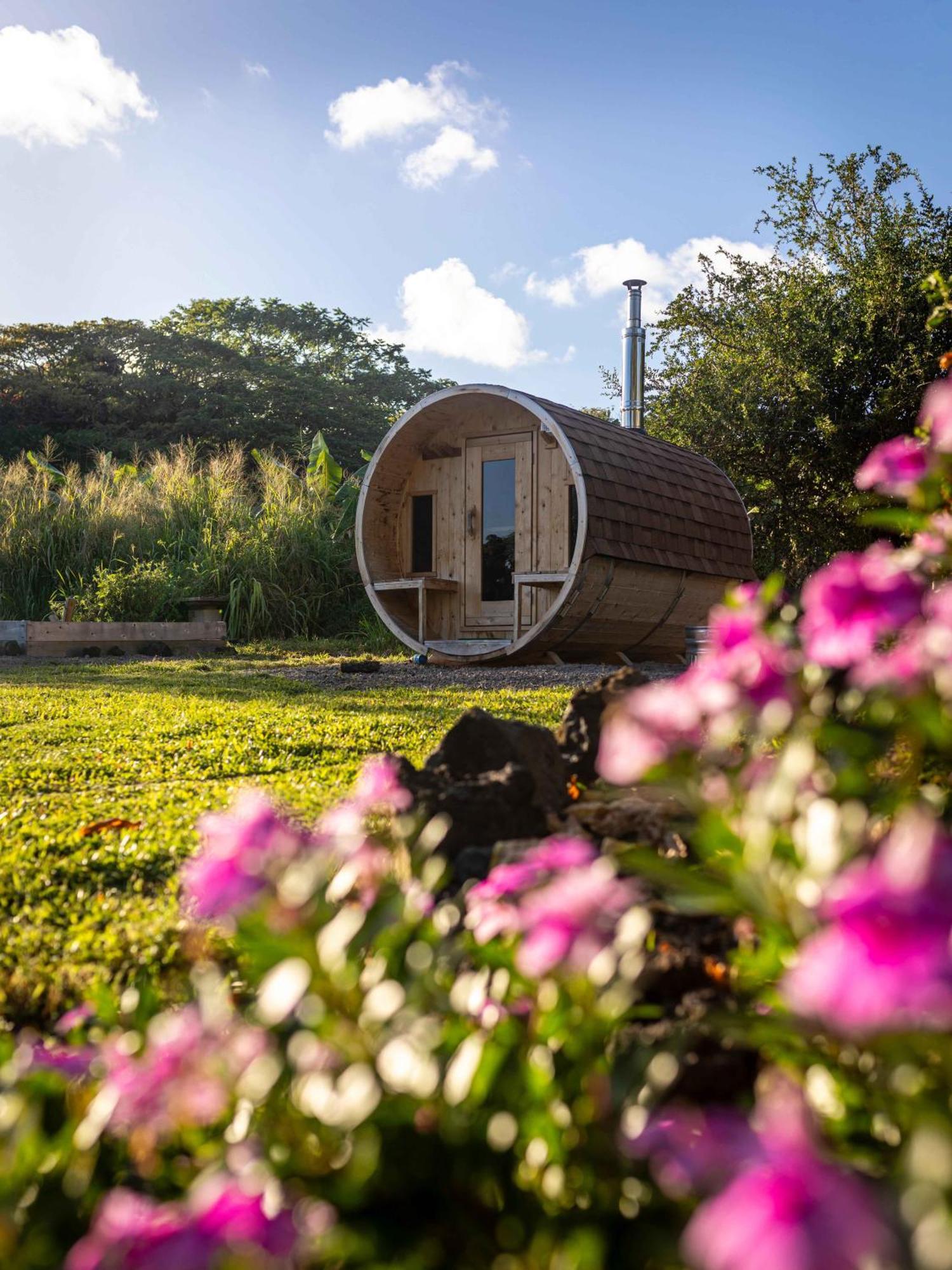 Jungle Haven Ocean Front Eco Villa On Fruit Farm Pahoa Kültér fotó