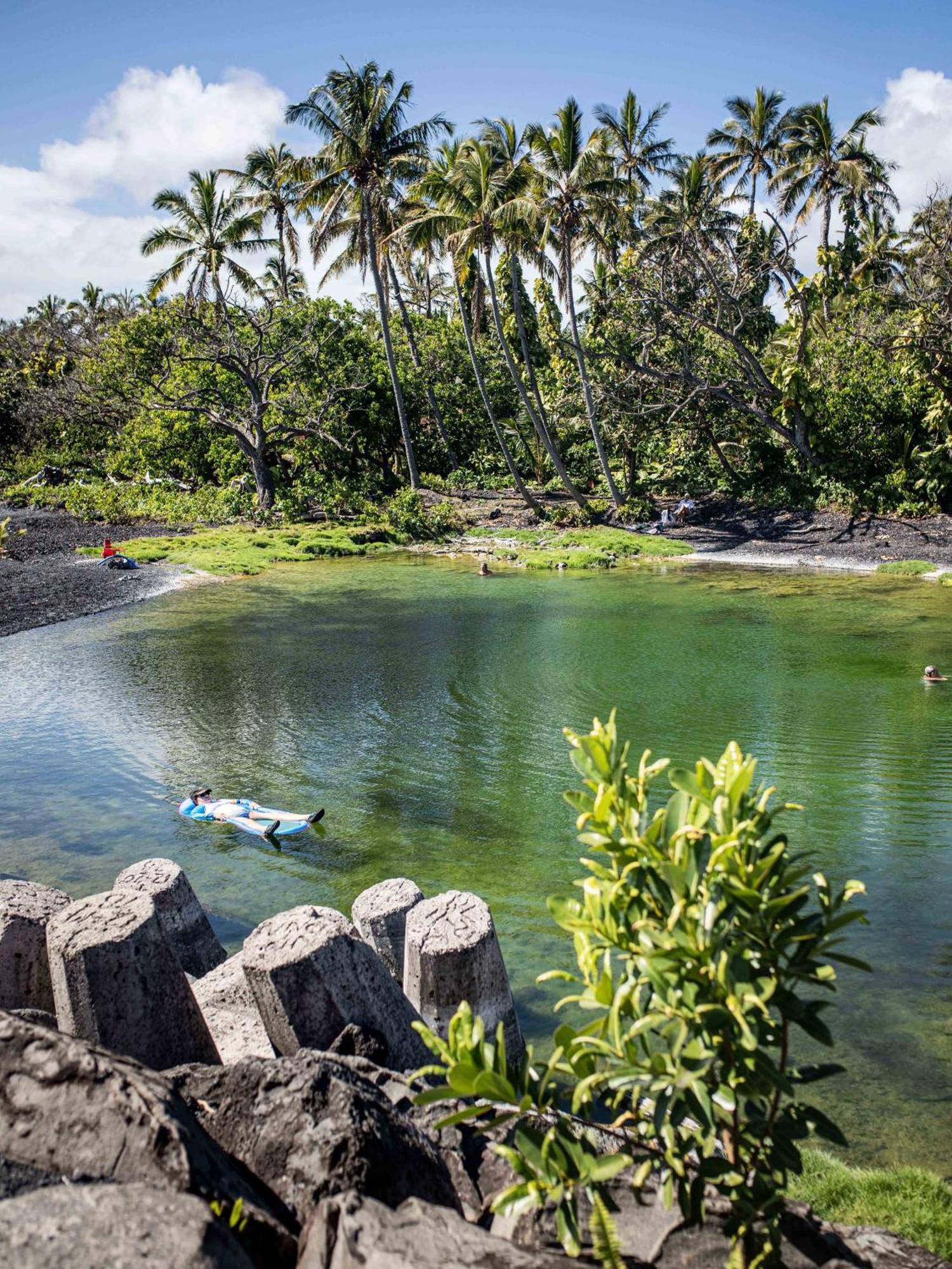 Jungle Haven Ocean Front Eco Villa On Fruit Farm Pahoa Kültér fotó
